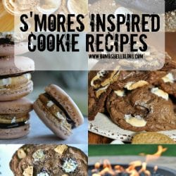 10 S’mores Inspired Cookie Recipes