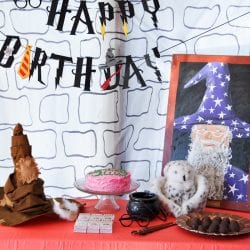 Harry Potter Birthday Party